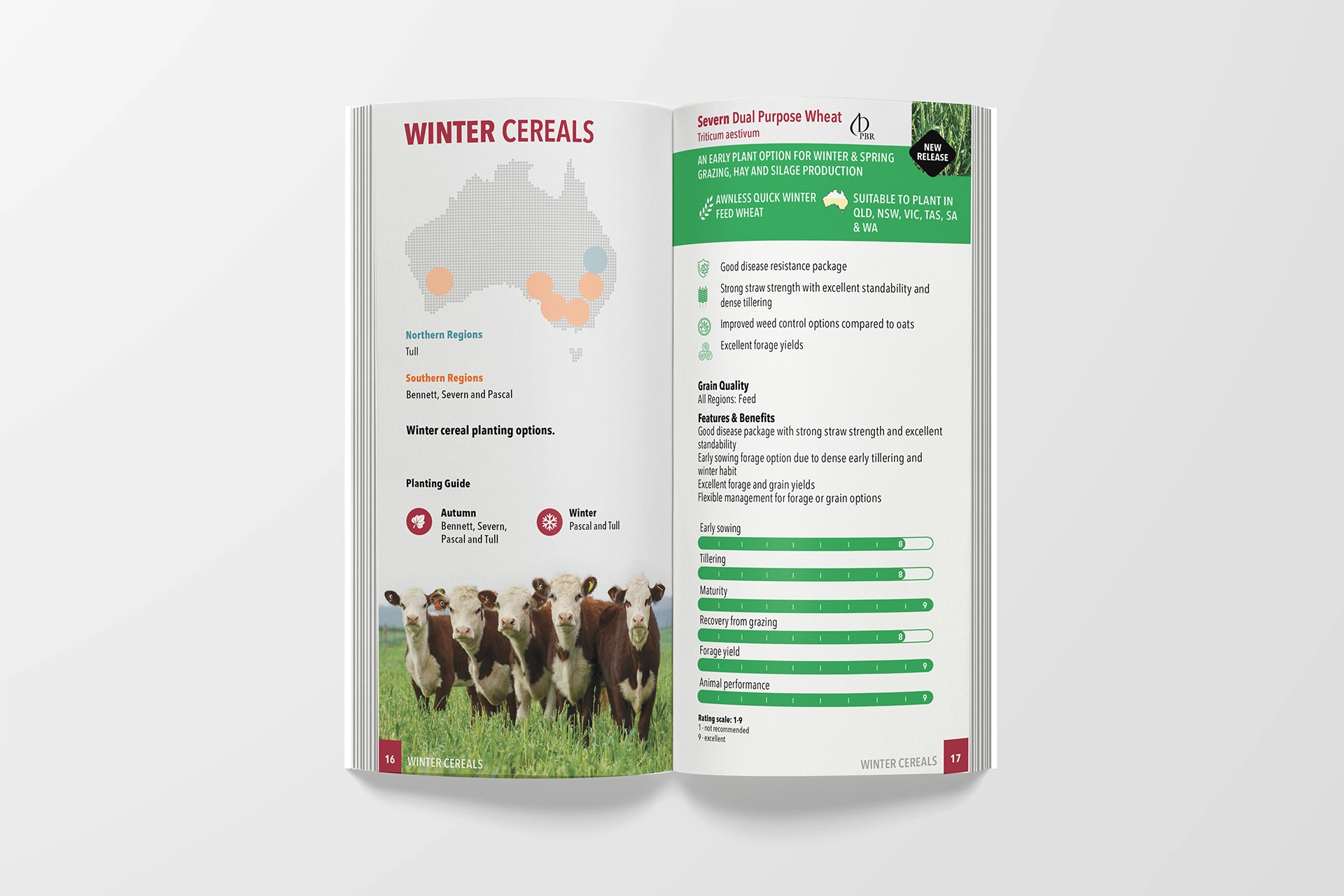 S&W brochure open to show interior content