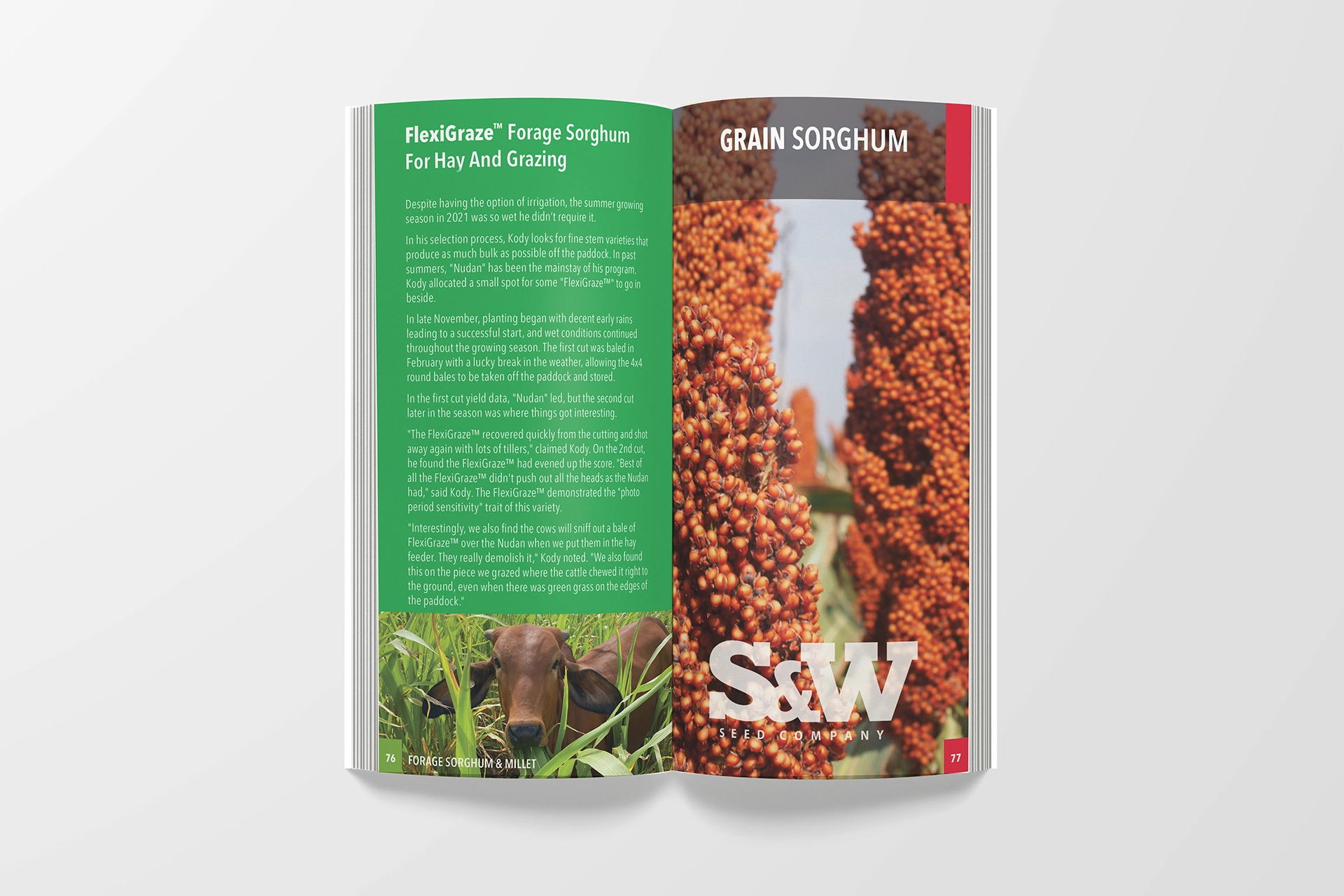 S&W brochure open to show interior content
