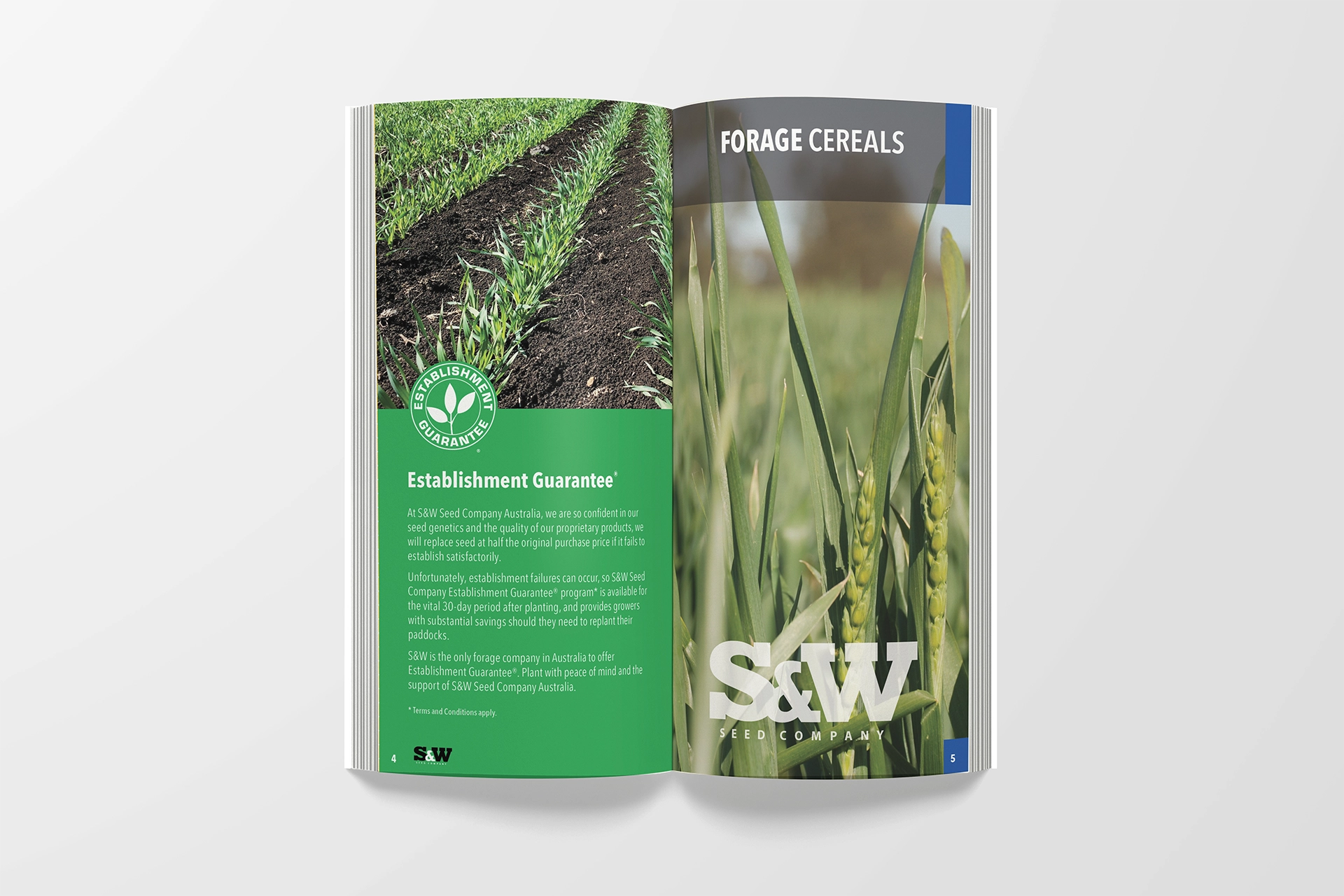 S&W brochure open to show interior content