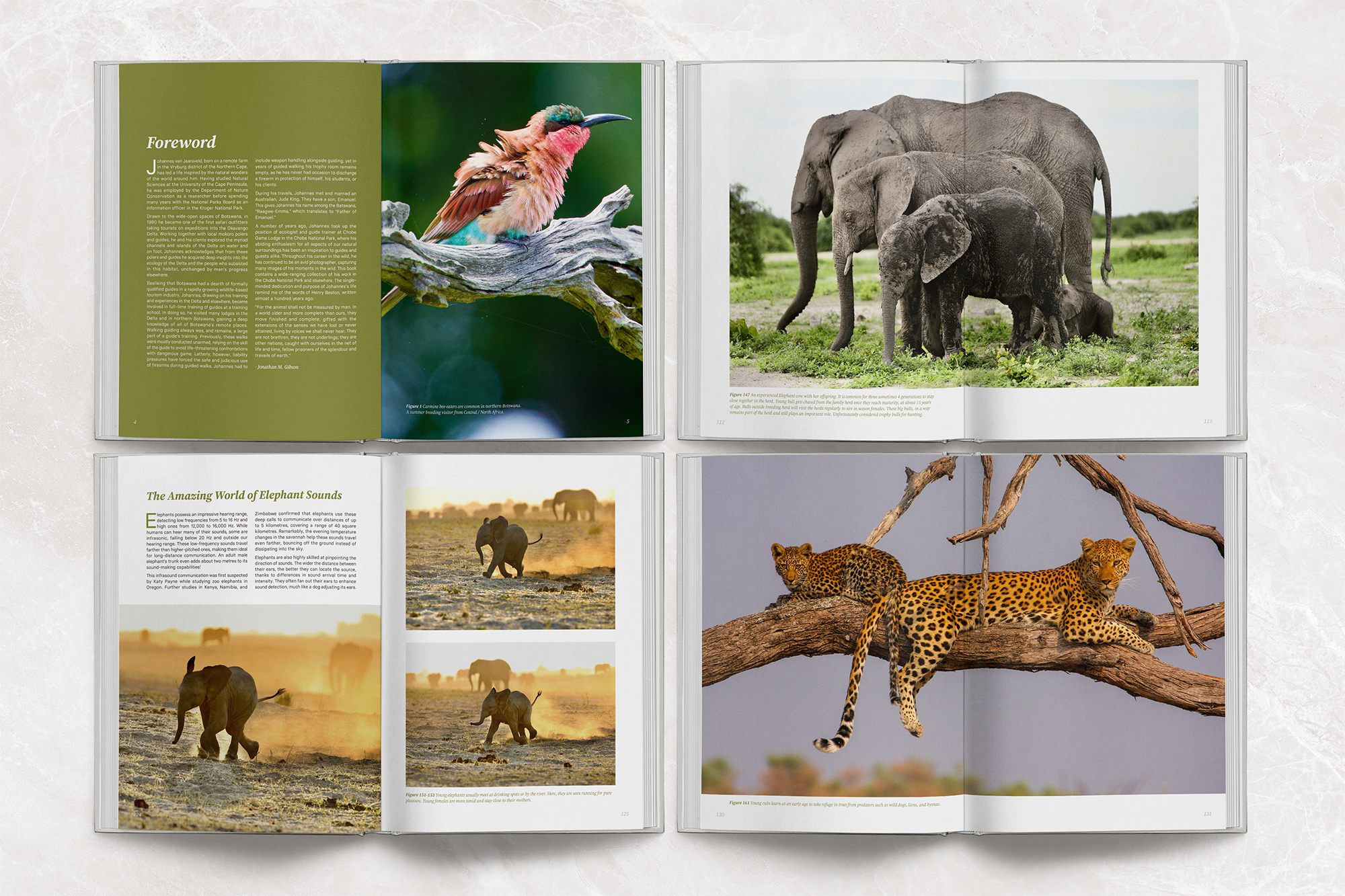 Coffee table book inside pages